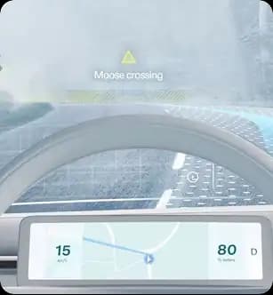 On-Site Assessment & Mapping - Step .01